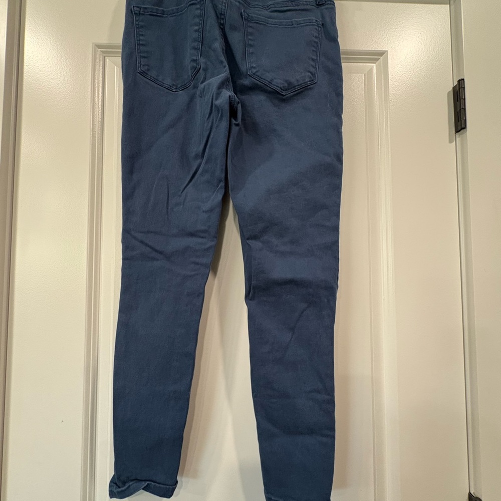 STS Blue Ankle Cropped Pants in Navy